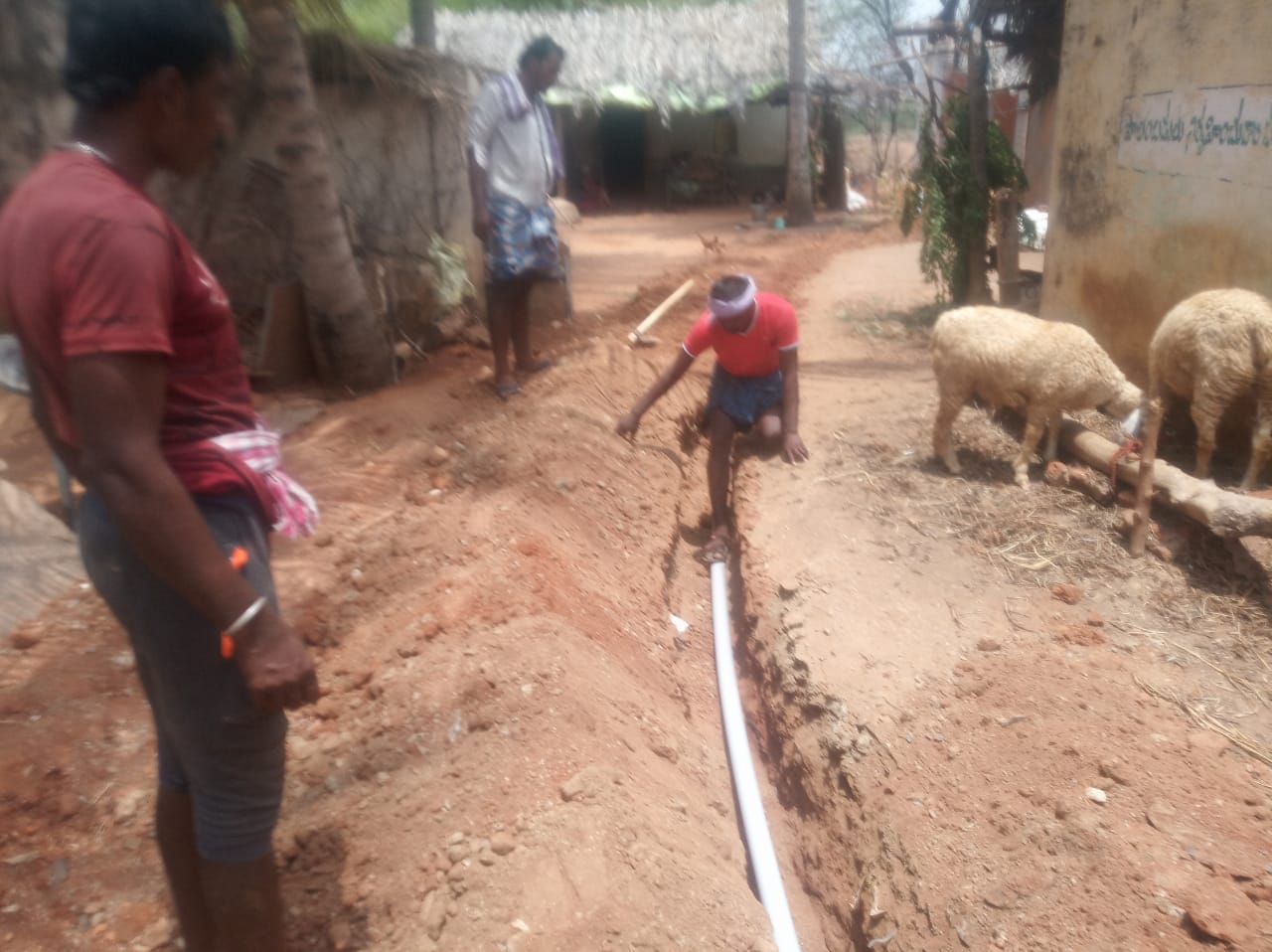 M.S Chandrappa | YSRCP Leader | Agali | Anantapur | Andhra Pradesh | YSRCP | the Leaders Page