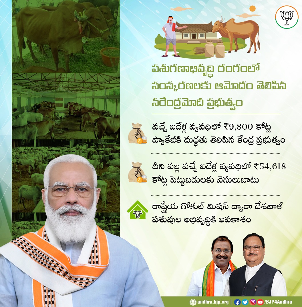 Pilli Satyanarayana | Mandal Social Media Convenor | Rayavaram | the Leaders Page