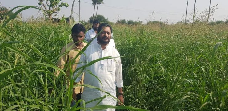 Pilli Prabhakar Rao (16)