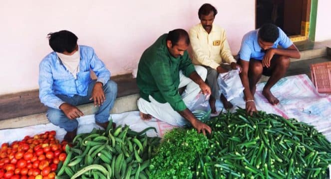 Podduturi Sathish Reddy (97)