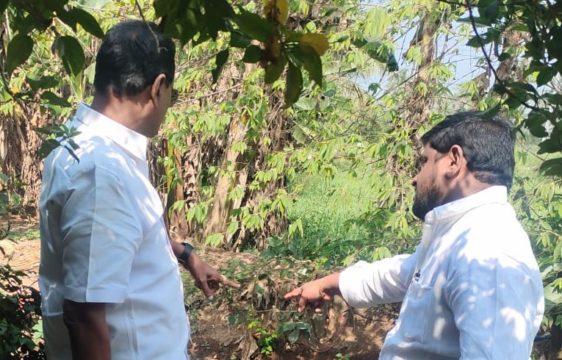 Vidadhasari Nagendra (8)