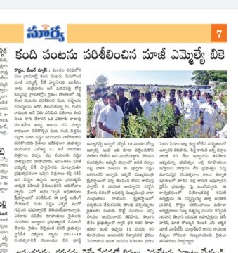 WhatsApp Image 2022-12-18 at 12.07.31 PM