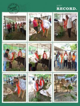 Suresh Kumar Jain (29)