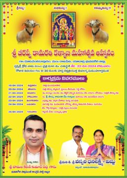 Vaspari Vishnu Dhanalaxmi (5)