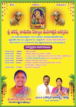 Vaspari Vishnu Dhanalaxmi (7)