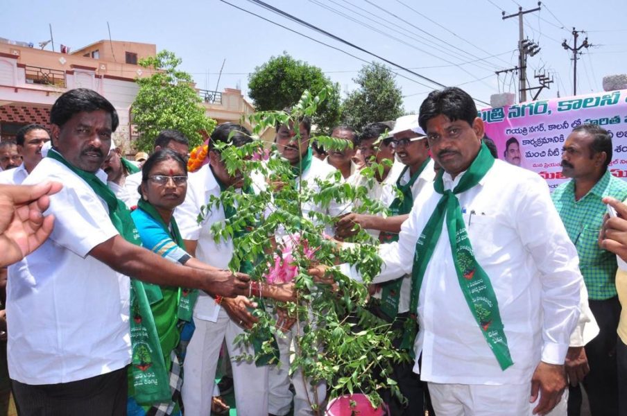 Manda Sanjeeva Reddy (307)