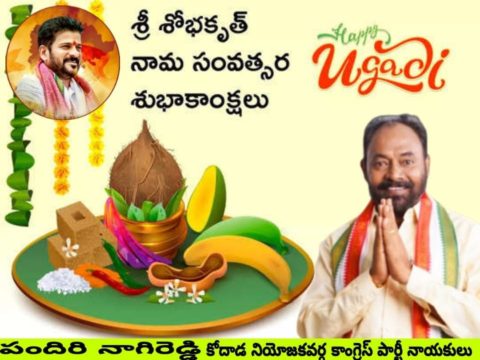 Pandiri Nagireddy (17)