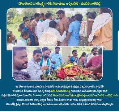 Pandiri Nagireddy (25)