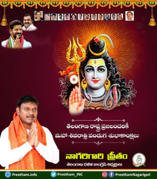 Preetham Nagarigari (15)