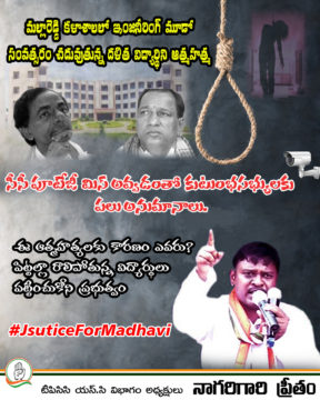 Preetham Nagarigari (31)