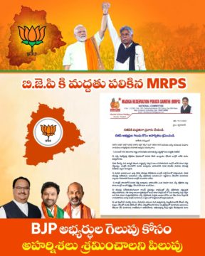 Padala Srinivas (13)