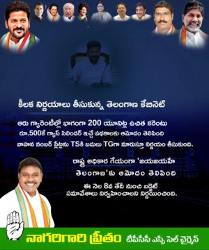 Preetham Nagarigari (13)