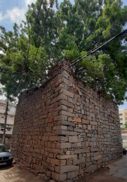 Thota Mahender Yadav (13)