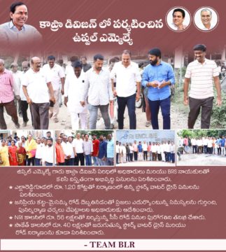 Bandari Lakshma Reddy (BLR) (13)