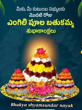 Bhukya Shyam Sunder Naik