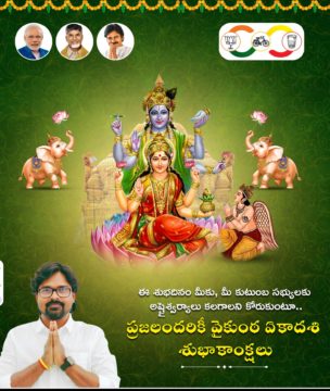 Cirivelu Chinna Royal (2)