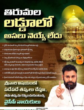 Cirivelu Chinna Royal (3)