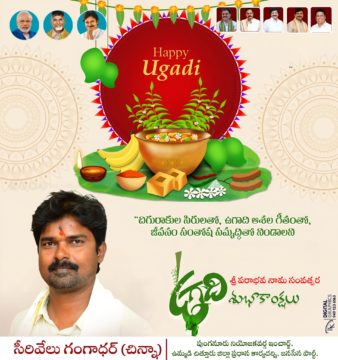 Cirivelu Chinna Royal (1)