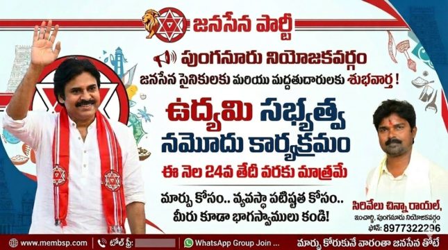 Cirivelu Chinna Royal (2)